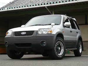 02y�G�X�P�[�v�w�k�s